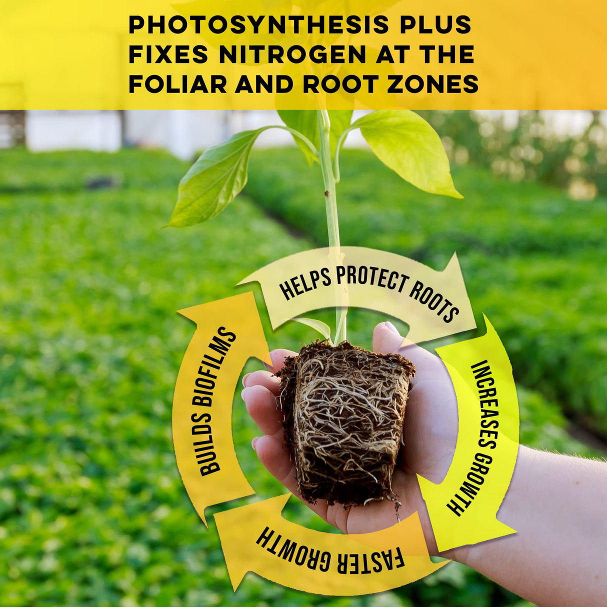 Microbe Life Hydroponics Premium Photosynthesis Plus to Grow Fruits, Vegetables, and Herbs, The Best Professional Big Bud Grow, Use with Any Feeding Systems Including Hydroponics or Soil, 32 Ounces
