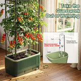 MQHUAYU 2 Pack 51" Self Watering Planter Box with Trellis, Tomato Planter Trellis for Raised Garden Bed, Tomato Cage with Visual Water Indicator, Indoor Outdoor Tomato Cages for Garden Patio