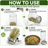 4 Large 1000ML Wide Mouth Mason Jar Sprouting Kit, with Stainless Steel Stand, Drain Tray & Cleaning Brush, High Germination for Beans, Broccoli, Fresh Sprouts