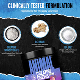 Animal Creatine Chews Tablets - Enhanced Creatine Monohydrate with AstraGin to Improve Absorption, Sea Salt for Added Pumps, Delicious and Convenient Chewable Tablets - Grape