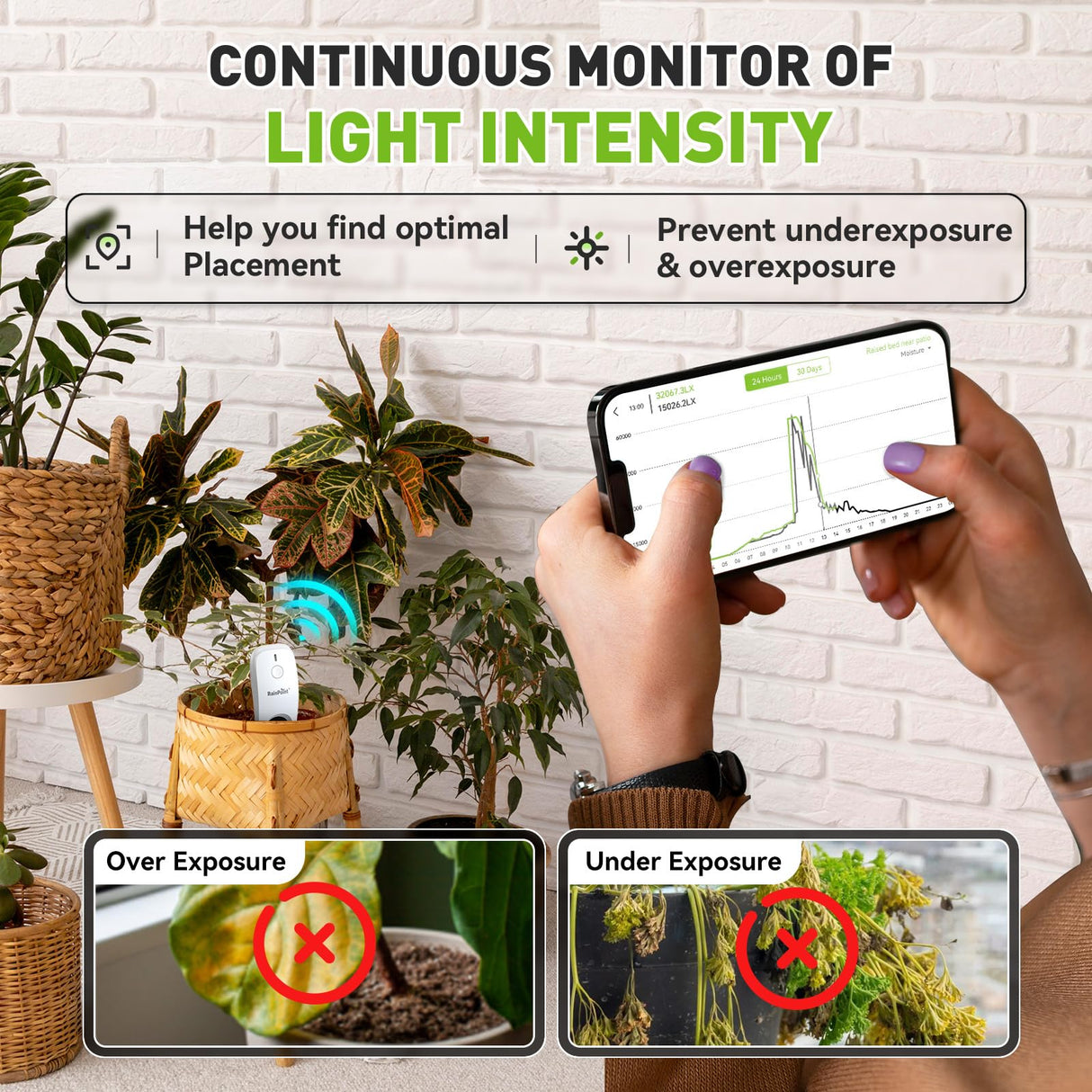 RainPoint 3-in-1 APP Remote Monitoring WiFi Soil Meter Indoor/Outdoor