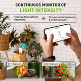 RainPoint 3-in-1 APP Remote Monitoring WiFi Soil Meter Indoor/Outdoor