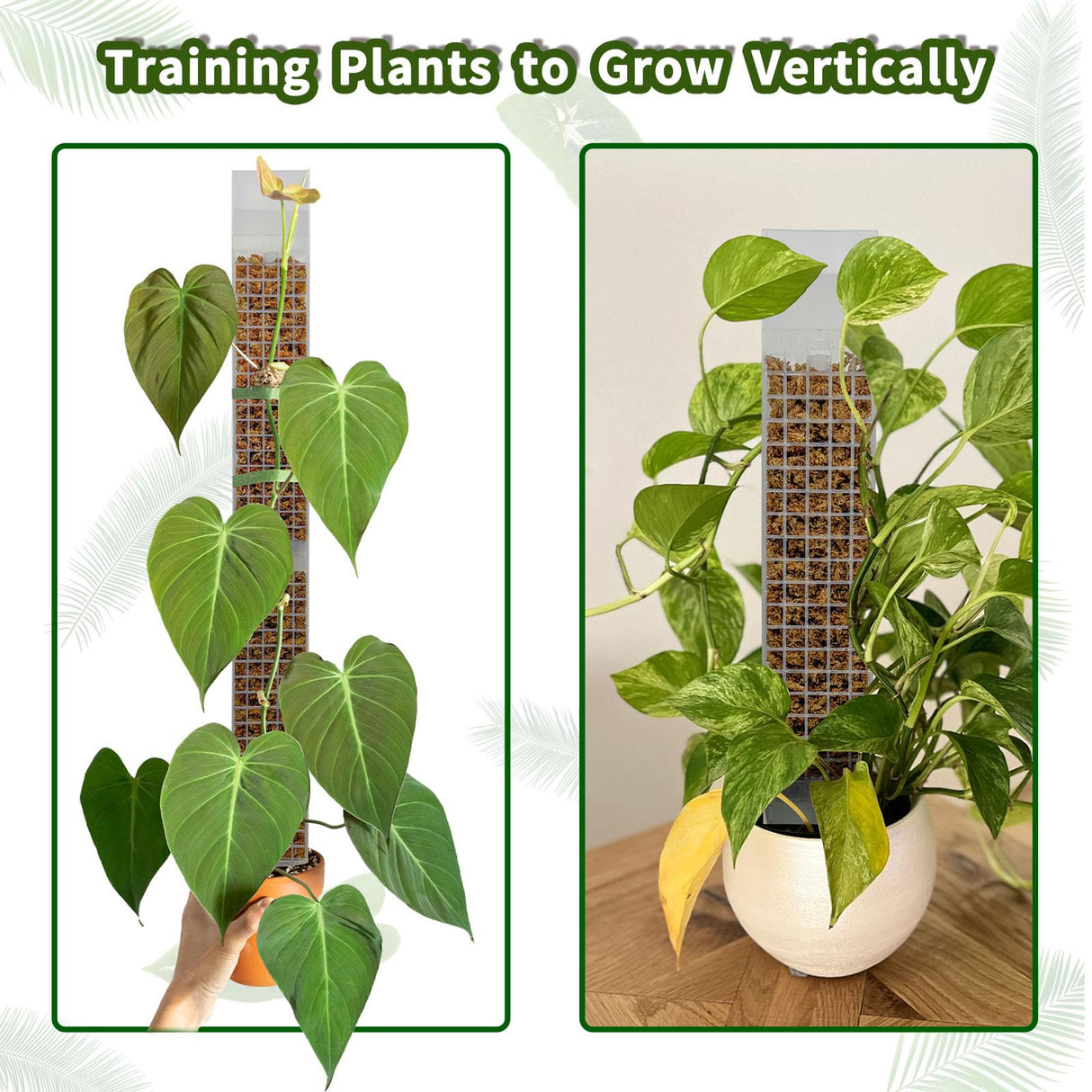HYYZ 4PCS 18.7-Inch D-Shaped Self-Watering Moss Pole - Plastic Monstera Support for Indoor Climbing Plants. (4, White)