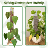 HYYZ 4PCS 18.7-Inch D-Shaped Self-Watering Moss Pole - Plastic Monstera Support for Indoor Climbing Plants. (4, White)