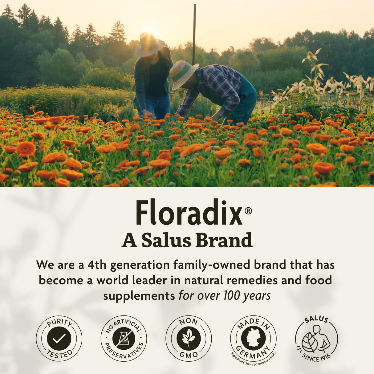 Floradix by Salus Iron & Herbs - Liquid Herbal Supplement for Energy Support* - Iron Supplement with Vitamin C & B Complex Vitamins - for Men & Women - 8.5 Fl Oz