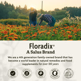 Floradix by Salus Iron & Herbs - Liquid Herbal Supplement for Energy Support* - Iron Supplement with Vitamin C & B Complex Vitamins - for Men & Women - 8.5 Fl Oz