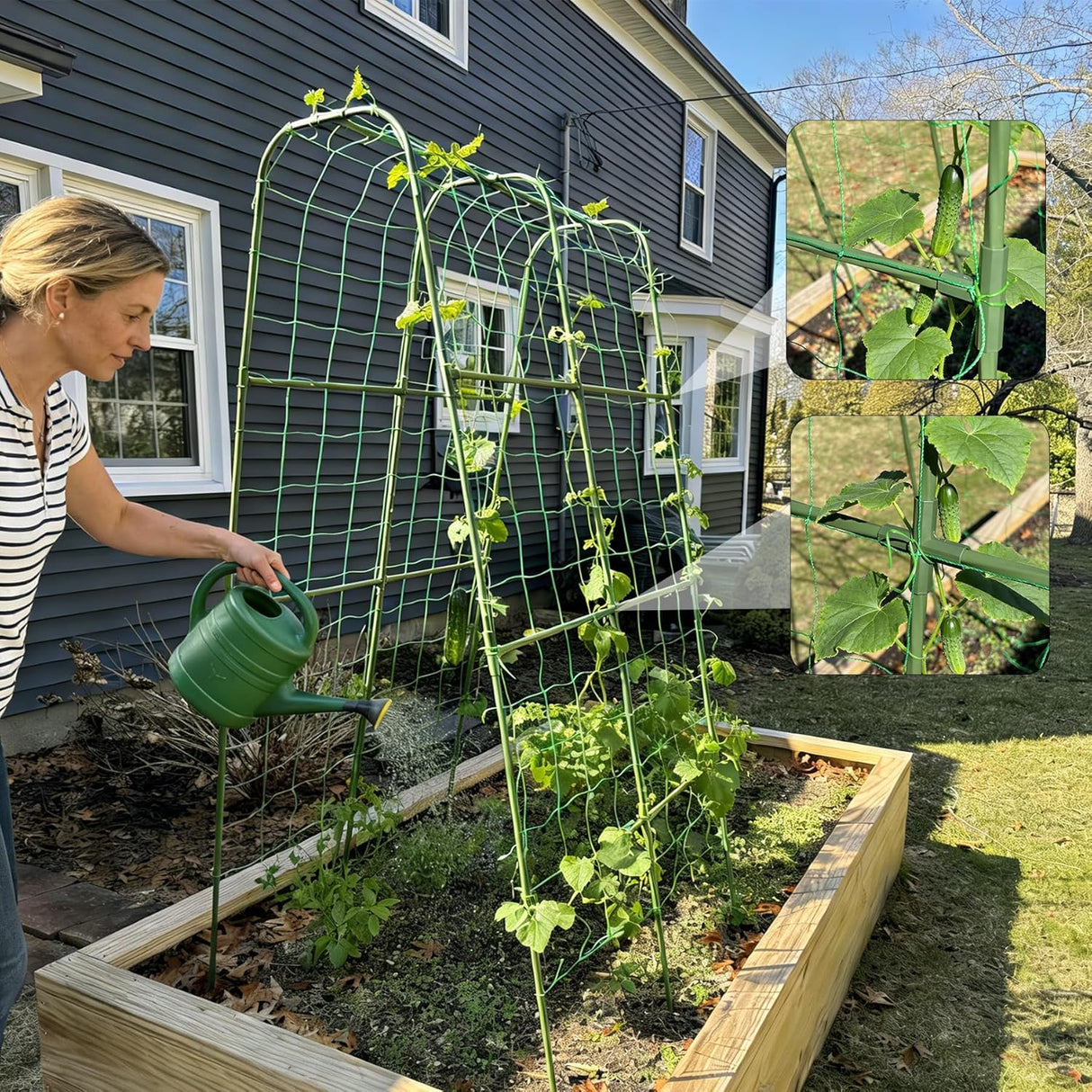 Miory Cucumber Trellis for Raised Bed, Garden Arch Trellis for Climbing Plants Outdoor, Steel with Plastic Coated Plant Support for Vines with Plastic Connector Nylon Netting (32" Lx32 Wx63 H)