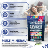 Clean Nutraceuticals Sea Moss Black Seed Oil Ashwagandha Turmeric Bladderwrack Burdock & Vitamin C Vitamin D3 with Elderberry Manuka Dandelion (120 Count (Pack of 1))
