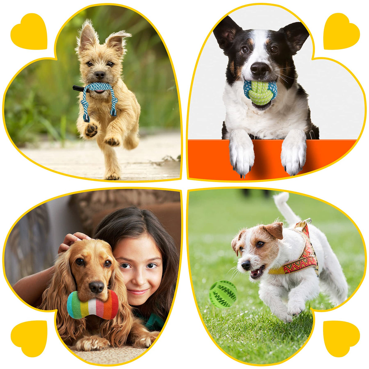 Zeaxuie 25 Pack Luxury Dog Chew Toys, Puppy Toys for Teething Small Dogs