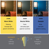 Sylvania LED Flood BR30 Light Bulb, 65W Equivalent Efficient 9W, 10 Year, 650 Lumens, Dimmable, 2700K, Soft White - 2 Pack (73954)