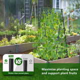 AlisisFores A-Shape Garden Trellis for Climbing Plants, Black