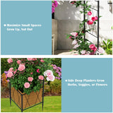 Heavy Duty Garden Arch Trellis for Climbing Plants Metal Garden Arbors