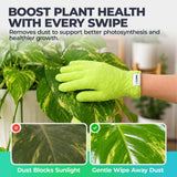 Flora Microfiber Dusting Gloves for Houseplants –Save Your Plants from Hidden Killers–Ultra-Gentle Microfiber (2)