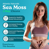 Atlantic Naturals - 1 Day Colon Cleanse Full Body Detox Drink - Sea Moss Supplement for Women & Men, Gut Health, Kidney & Liver Immune Energy Enhancer Gut Cleanse - Lemon Flavor Juice, 8 fl oz
