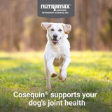 Nutramax Cosequin Joint Supplement for Dogs, Skin & Coat, Soft Chews,120ct