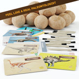 Dig a Dozen Dino Egg Kit for Kids - 12 Eggs & Surprise Dinosaurs