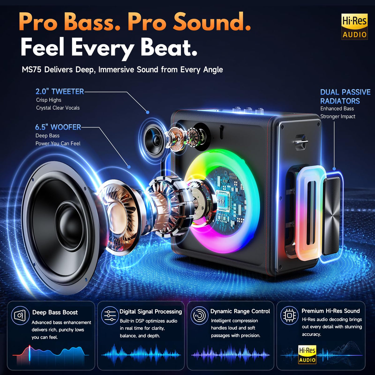 Karaoke Machine for Adults with 2 Wireless Microphones, 200W PA System