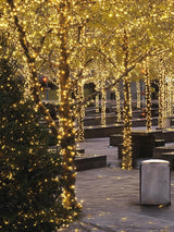 Twinkle Star 2 Pack Outdoor Christmas Lights, Total 33 FT 100 LED Battery Operated Christmas Lights with 8 Modes, Xmas Tree Lights Waterproof for Patio Garden Party Wedding Holiday Decor Warm White