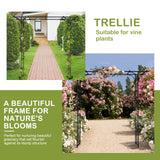 Outvita 7FT Black Metal Garden Arch Arbor Trellis
