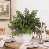 CCPanda 20 Pcs Christmas Artificial Norfolk Pine Branches 18" Real Touch