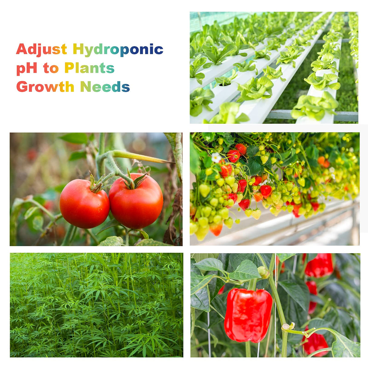 FOLLOWIN pH Up and Down Control Kit for Hydroponics and Soil Gardens