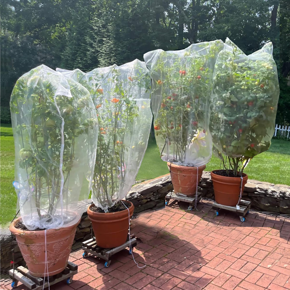 Drawstring Blueberry Netting for Bushes (4 Pack 3.28×2.62FT) - Easy Install Reusable Garden Netting, Protective Mesh for Fruit Trees & Tomato Plants, Blocks Birds, Squirrels & Insects