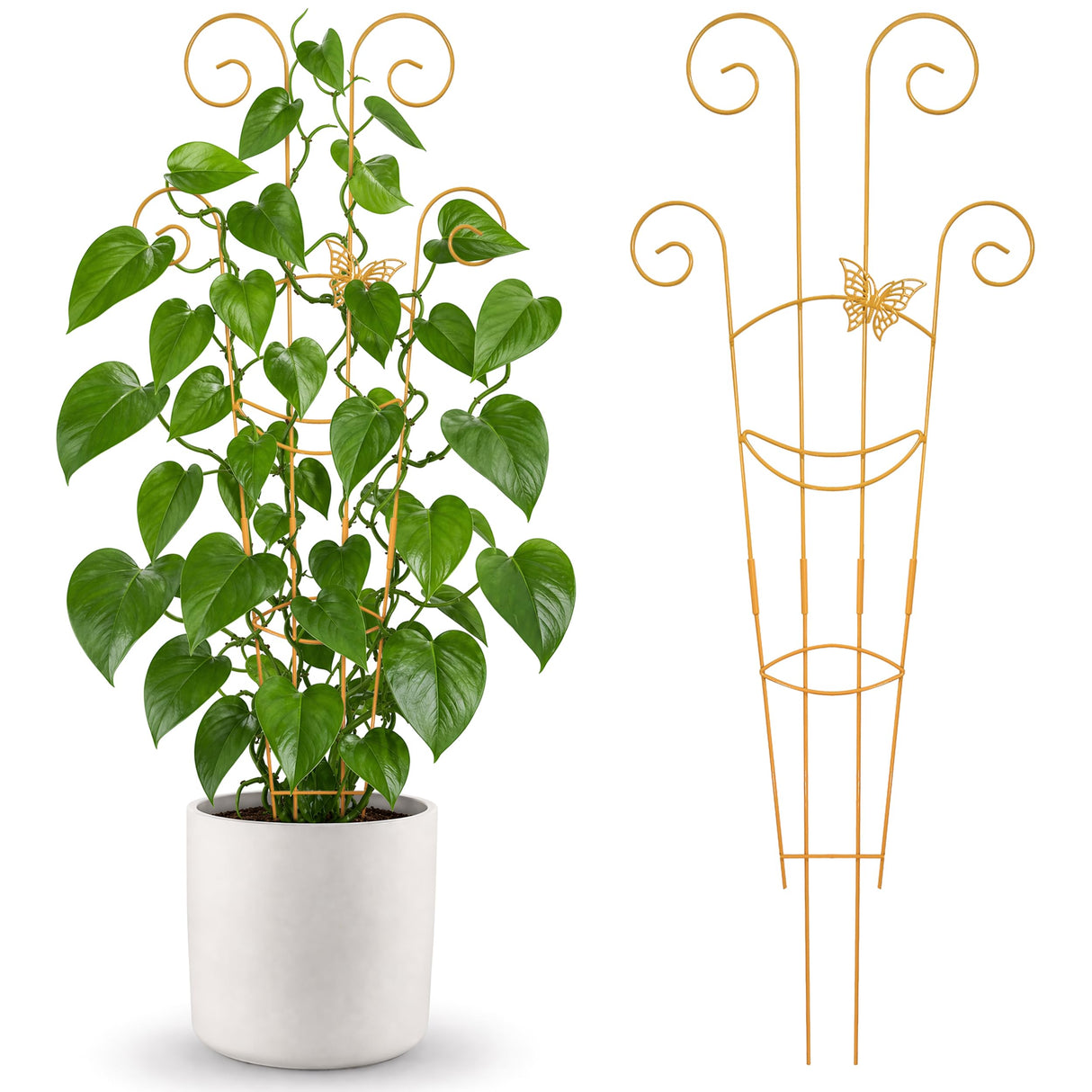 Xhwlgbal 2 Pcs 30'' Monstera Plant Trellis for Pots, Metal Garden Trellis for Outdoor Plant Climbers, Expandable Houseplant Support with Butterfly Design for Monstera Ivy Hoya Vine, Gold