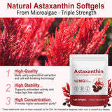 Astaxanthin Supplements 12mg, 120 Astaxanthin Softgels, Premium As-taxanthin Antioxidant Supplements with Antioxidant Activity, Supports Eye, Skin, Immune, Joint, Internal Circulation-4 Month Supply