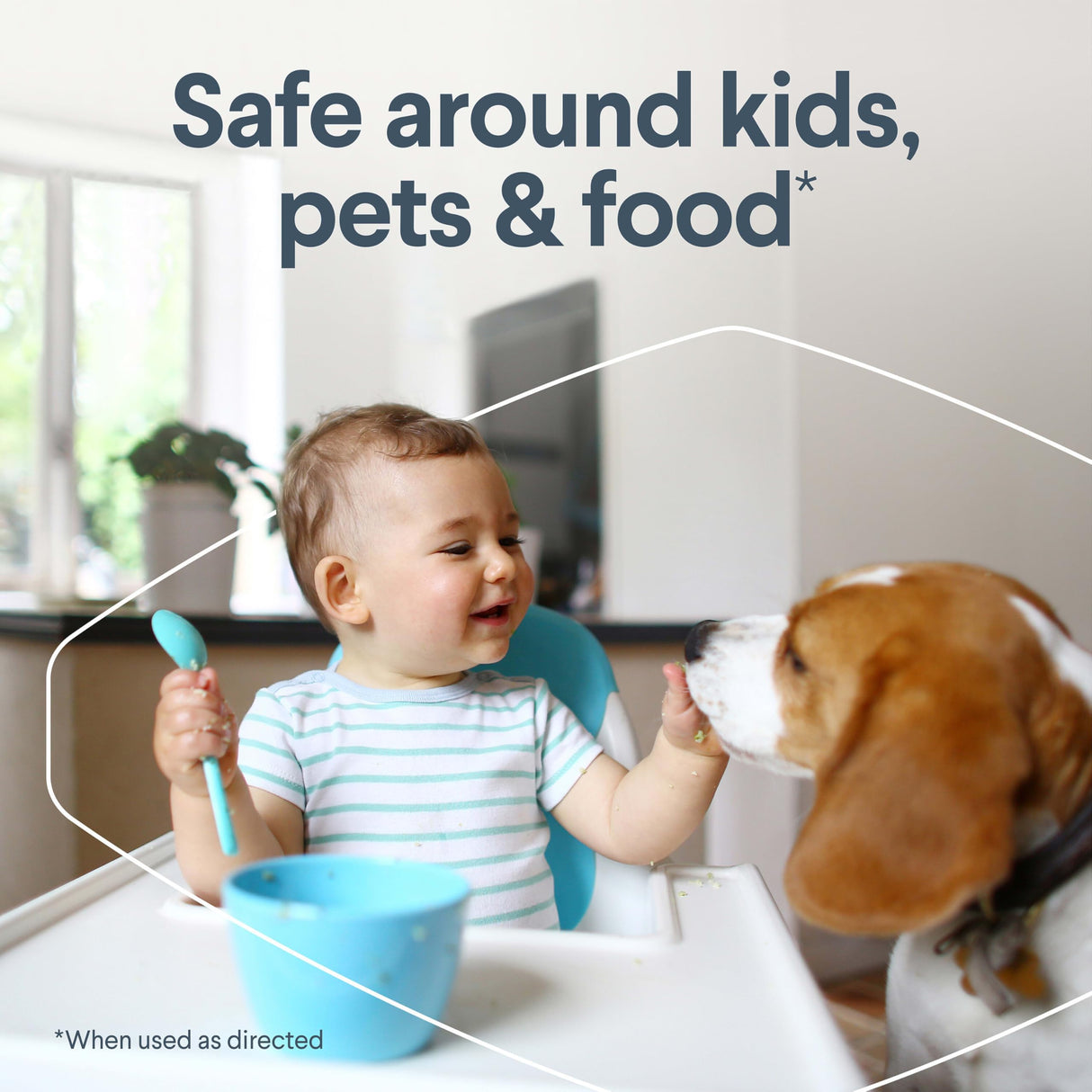 Clorox Free & Clear Compostable Cleaning Wipes, Light Lemon Scent, 75 Count, Pack of 3 (Pack May Vary)