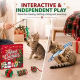 Cat Advent Calendar 2026, 24 Days Assorted Interactive Toys for Indoor Cats
