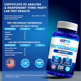 We Like Vitamins Phytoceramides 700mg - 200 Capsules All Natural Wheat Free and Plant Based - Phytoceramide Supplement - 700 mg per Serving - Skin Hydration, Repair, Rejuvination