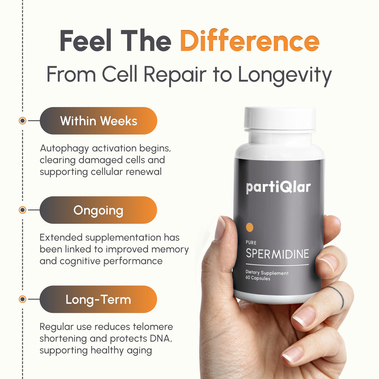 partiQlar Spermidine Supplement - 99% Purity - 8 mg per Capsule - 3rd Party Lab Tested - for Men & Women Cellular Renewal, Longevity - Made in USA - 60 Capsules