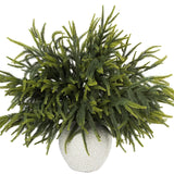 N&T NIETING 24in Christmas Norfolk Pine Branches Pine Artificial Christmas Branches Real Touch Faux Norfolk Pine Stems for Xmas Indoor Outdoor Home Decor DIY Crafts (18 Pcs)