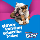 Purina Busy Bone Tiny Toy Breed Dog Chew Treats, Original, 60 ct Pouch