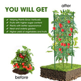 MQHUAYU 6 Pack Tomato Cage,Tomato Cage for Raised Garden Bed, 48'' Tall Tomato TrellisTriangle or Square Cages for Garden,Pots, Plant Cages & Supports（Green, Extra Bold ）