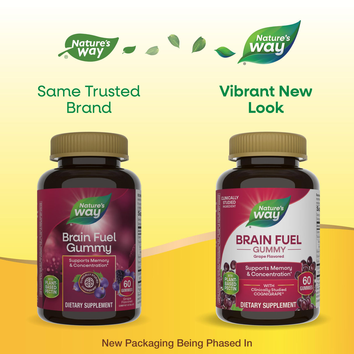 Nature's Way Brain Fuel, Supports Memory and Concentration*, Clinically Studied Cognigrape®, 60 Gummies, Grape Flavored