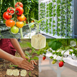 Halatool 1.5 in Rockwool Cubes for Hydroponics, 196 Plugs Seed Starter Cube