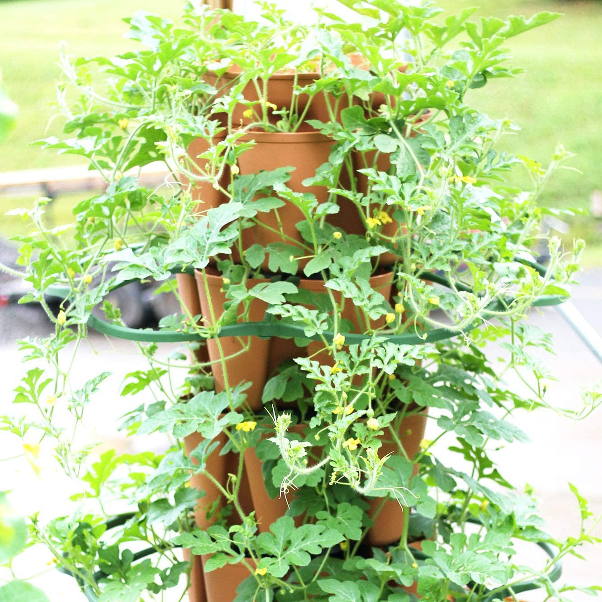 Greenstalk Set of 3 Plant Supports for Growing Tomatoes, Cucumbers, Peppers, Eggplant, and Squash Vertically in a Vertical Planter