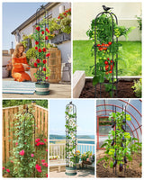 2PCS Garden Obelisk Trellis for Climbing Plants Outdoor, 6.2 ft Tall Trellis for Roses Clematis Jasmine Ivy Flower Light Climbing Vines Potted Plant Support, Patio, Yard