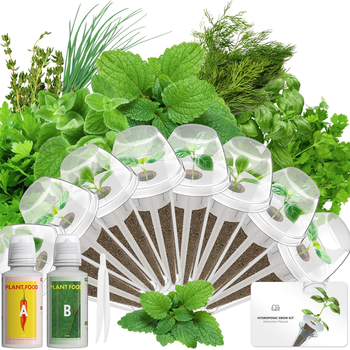 LYKOCLEAN Herb Seed Pod Kit Compatible with AeroGarden Hydroponics Growing System, Complete Indoor Gardening Supply (Herb, 8-pods)