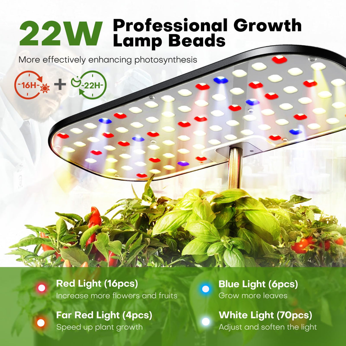Ahopegarden Hydroponics Growing System Kit: 12 Pods with LCD Control Panel