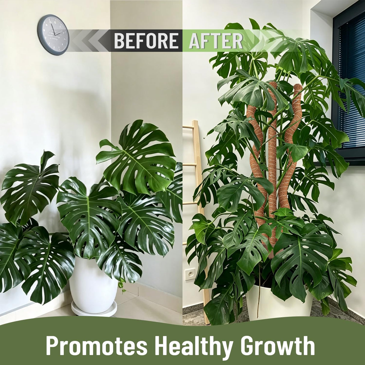 3-in-1 Moss Pole, Bendable 30IN Monstera Plant Support for Indoor-2 Pack
