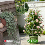 6ft Garden Obelisk Trellis for Climbing Plants-Rustproof Metal Pipe with Heavy Duty Plastic Coated, Garden Outdoor Indoor Potted Plant Support for Clematis Vine Jasmine Support （White）