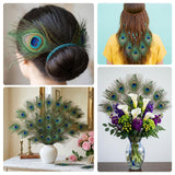 Piokio 50 Pcs Bulk Peacock Feathers, 10-12 inch