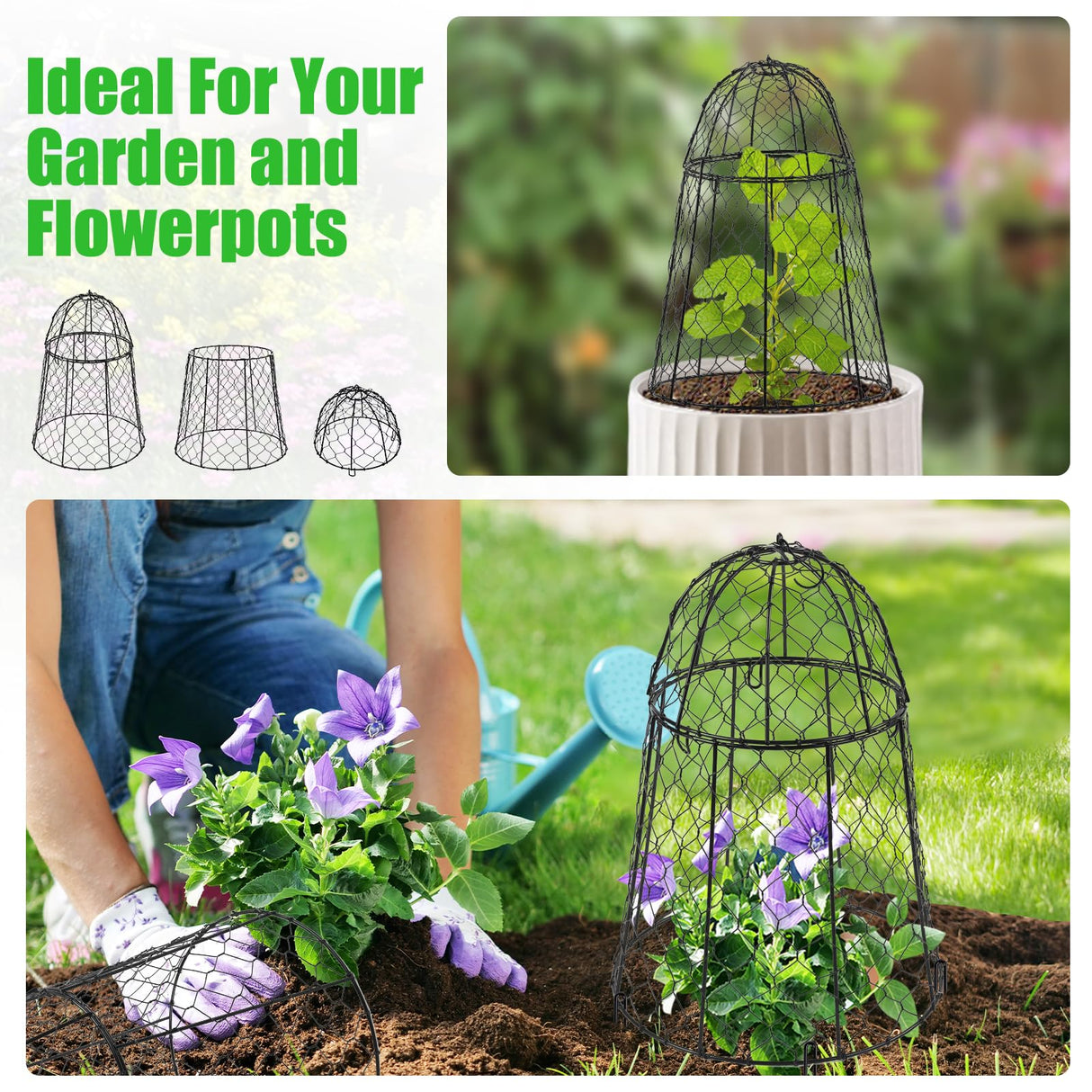 6 Pack Garden Cloches for Plants, Sturdy Chicken Wire Cloches Plant Cover