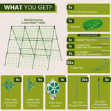 50x50 Cucumber Trellis for Raised Bed - A Frame Garden Trellis for Climbing Plants Outdoor - Cucumbers, Pea, Zucchini, Squash,Tomato, Green Bean, Vine, Watermelon, Melon, Pumpkin