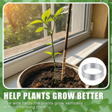 WILLBOND 350 Feet Plants Trellis Training Wire 2 Rolls Trellis Wire for Climbing Plants for Garden Fence