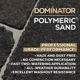 10 Pound Titanium Gray DOMINATOR Polymeric Sand with Revolutionary Ceramic Flex Technology for Stabilizing Paver Joints/Gaps, 1/8” up to 4”, Professional Grade Results