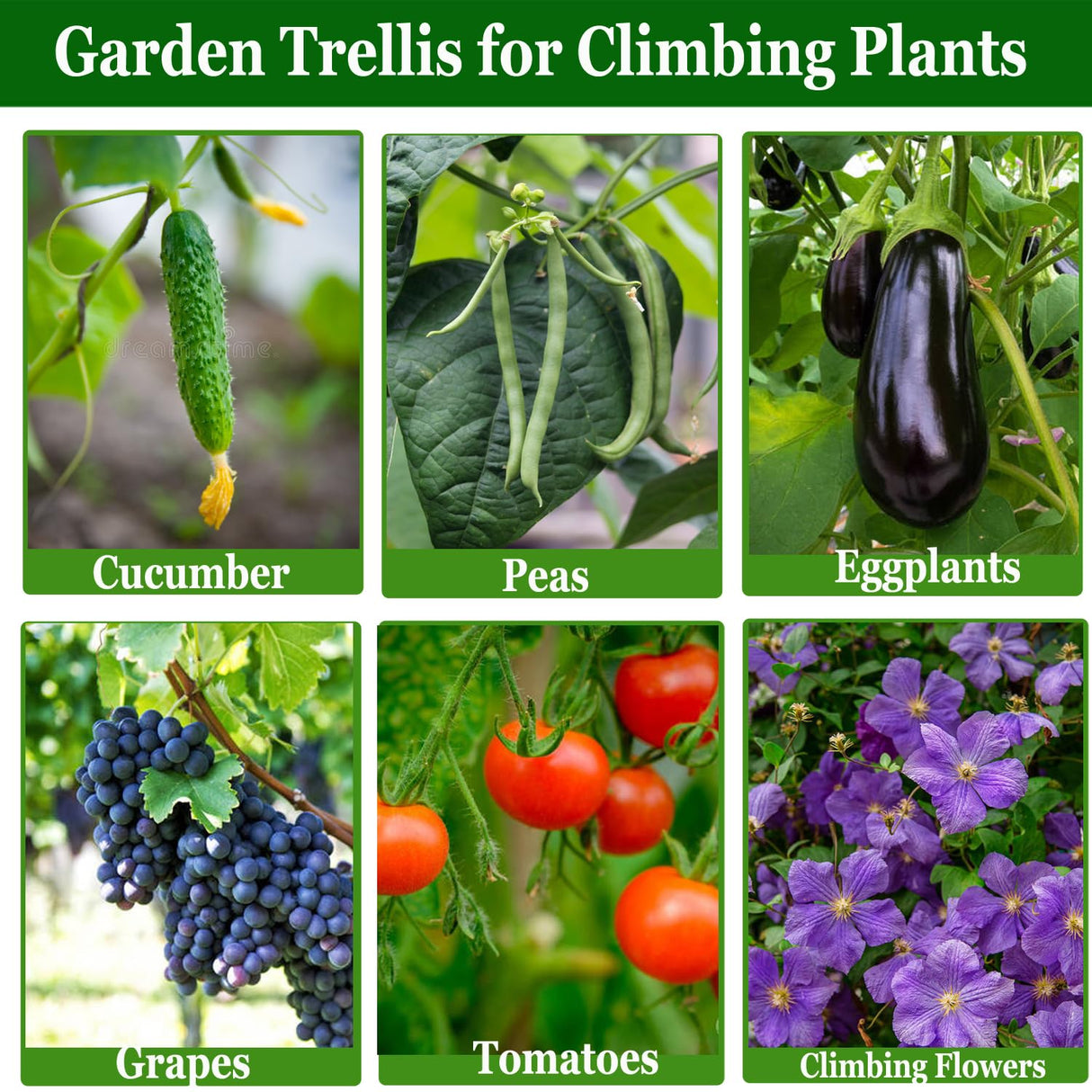 Cucumber Trellis for Raised Bed, U-Shape Garden Trellis for Climbing Plants Outdoor, Metal Arch Plant Support, Vegetables Trellis for Squash Grape Pea Bean Vines Flower (WxH=15.7x47inch)
