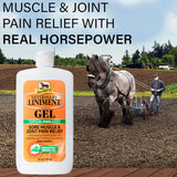 Absorbine Veterinary Liniment Gel, 12 oz Bottle